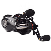 Reels