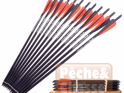 🏹 Carbon Arrows for Archery and Spear Hunting – Precision and Robustness Combined (41/51 cm)
