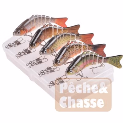 🎣 Kit Ultra-Fish: Leurre de Pêche 10cm Multi-Sections avec Hameçons Triples – L’Appât Magique pour tous les Poissons!