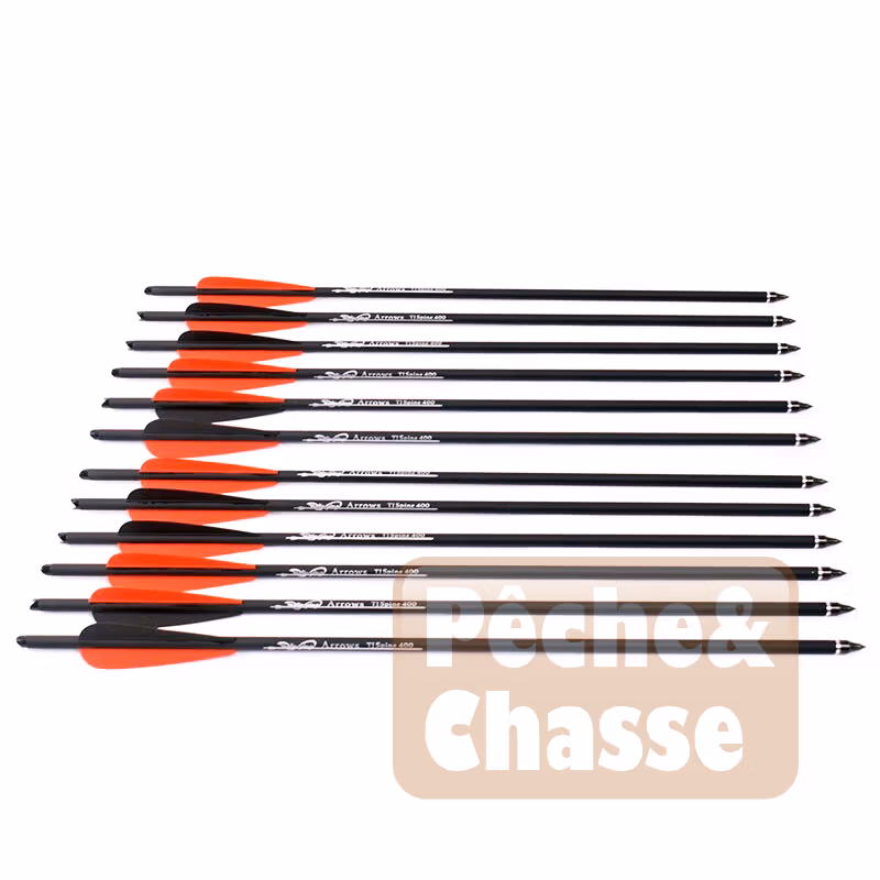 đč Jeu de flĂšches en carbone pour la chasse Ă l'arc et lance flĂšche â la prĂ©cision alliĂ©e Ă la robustesse (41/51 cm)
