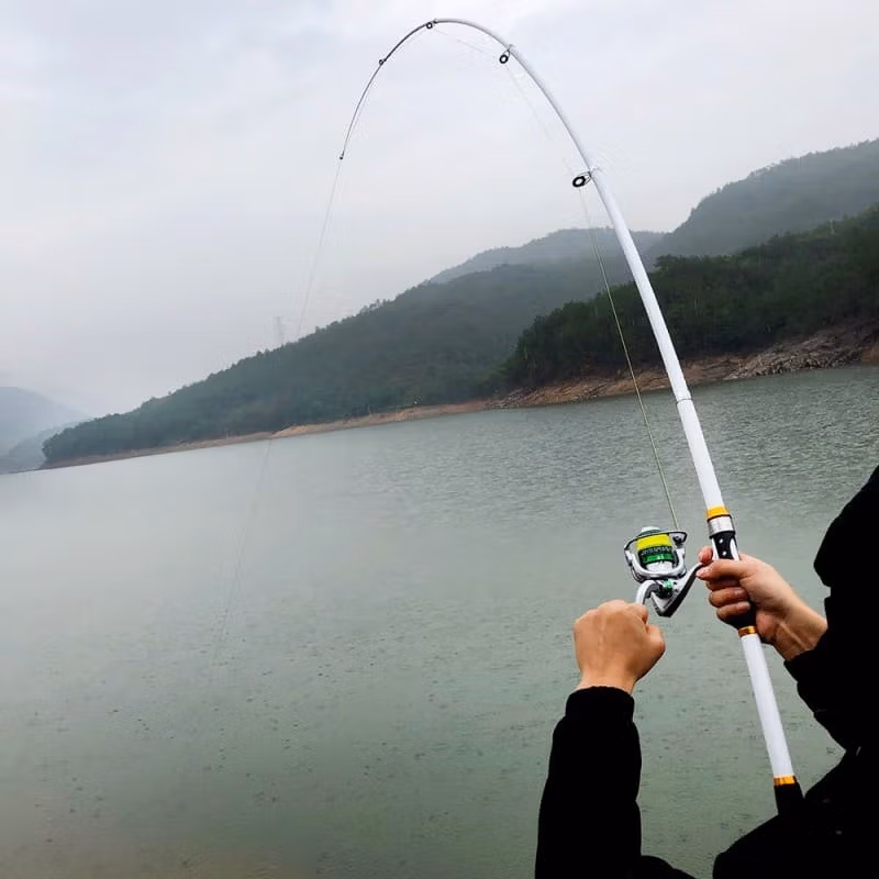 đŁ LuxeCarbFrp : la canne Ă pĂȘche tĂ©lescopique ultra rĂ©sistante de 2,1 Ă 3,6 m pour carnassier un choix rĂ©sultant d'un type unique